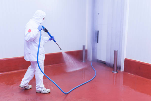 Professional Pressure Washing Services in Lake Village, AR
